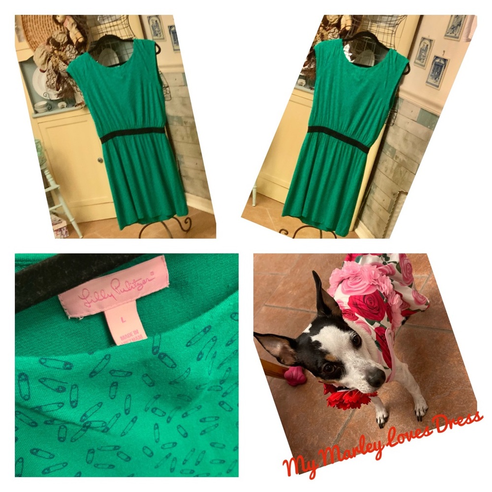 Lilly Pulitzer Dress  Size Large So Cute 🌸